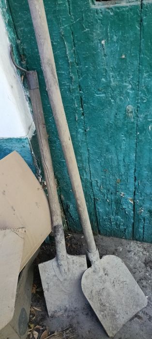 Лопаты софковые продам