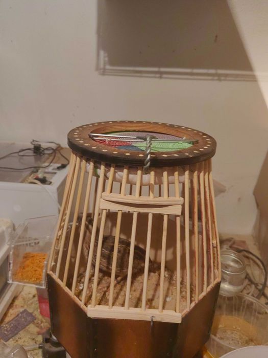 Певчие Италия бедана молодые