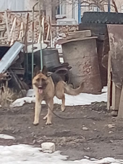 Продам Продам Продам