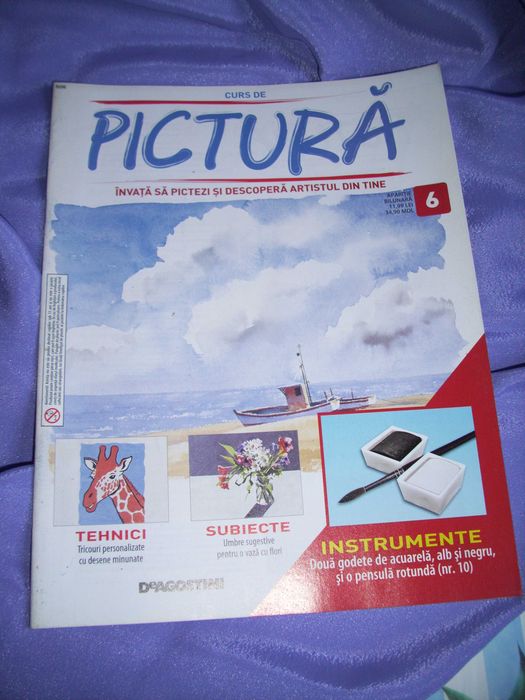 Cursuri de pictură de la D Augustini