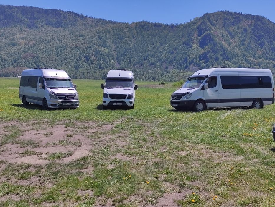 Перевозка пассажиров.