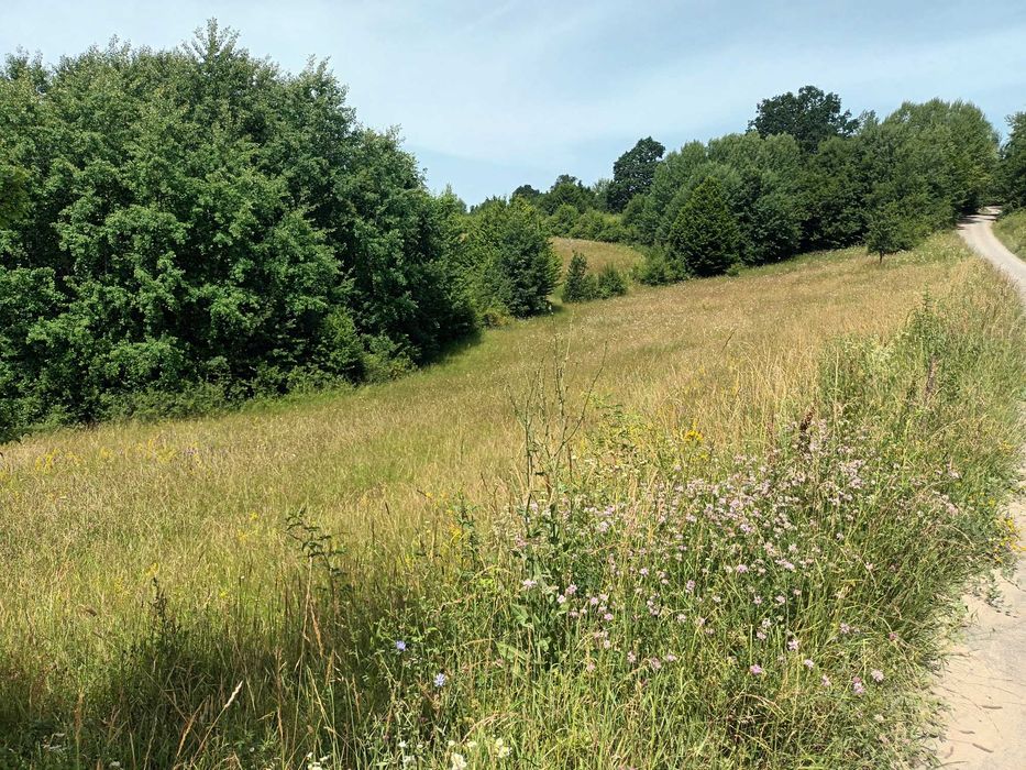 Teren in Capet, Sovata 2500mp