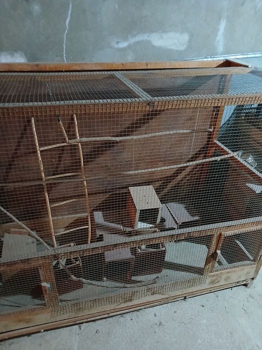 Qush uchun (popugay va boshqalar) qafas sotiladi