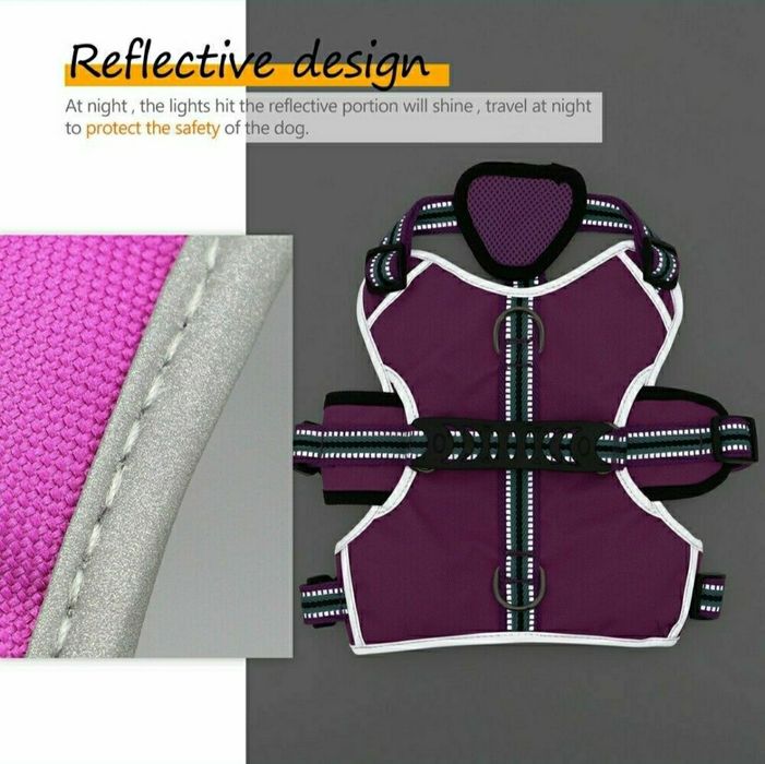 Ham pt câine de talie mare idog