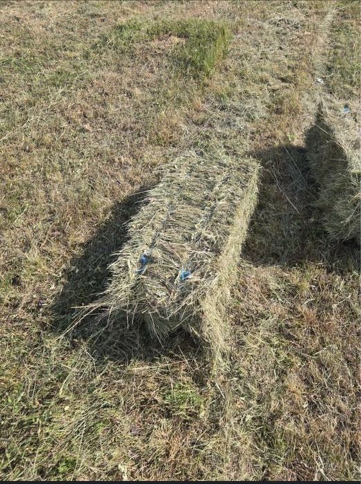 balotii de fan si de otava de vanzare  pemtru mai multe detalii