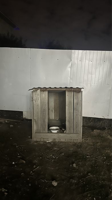 Собачья будка, конура