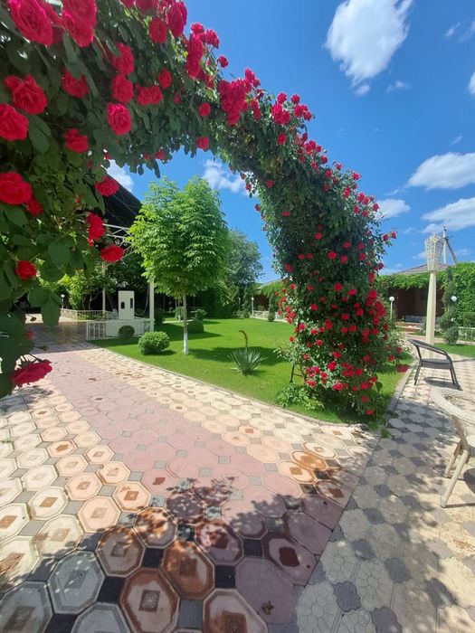 Автополив Газон ландшафный