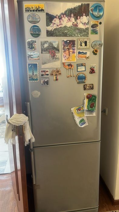 Ремонт  холодильников всех видов и марок