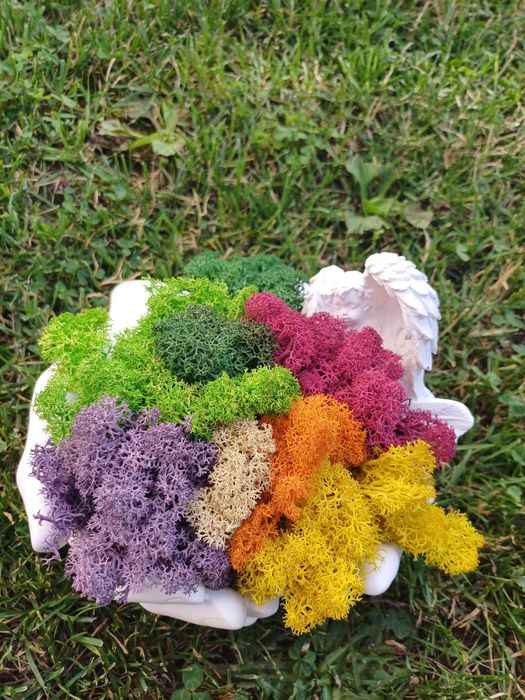 Цветни букети за всеки празник