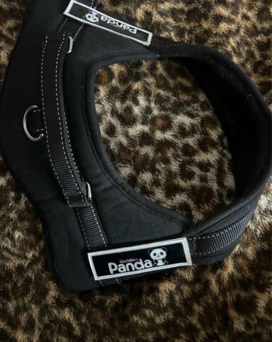 шлейка для собак