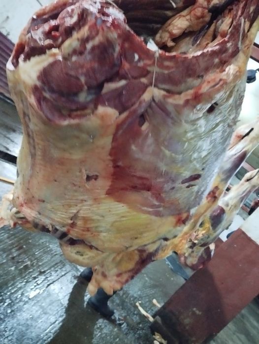 Қасапшы қасапшы қасапшы