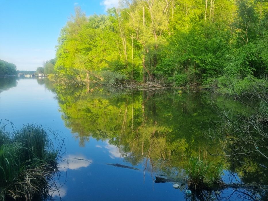 Parcele 500-1000mp la lacul Snagov