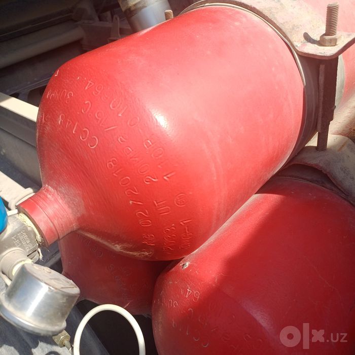 Газбалон китайский