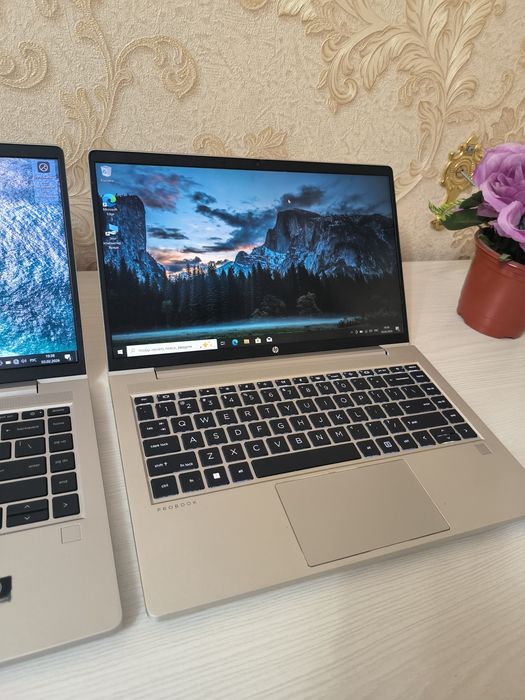 HP ProBook 445 G9