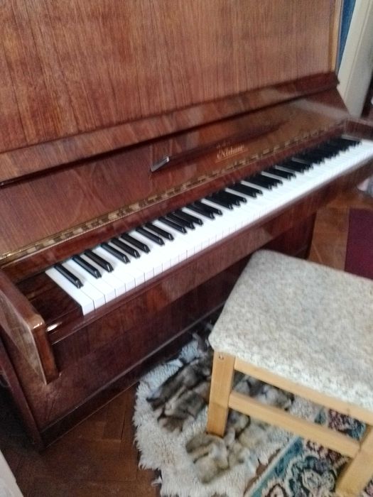 Дава се под наем Тристаен апартамент в Плевен, Дружба 1 - 100 кв.м за 255 € - Снимка #12