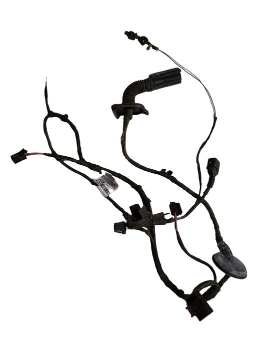 Instalatie Electrica Usa Stanga Fata Audi A6 Iv Avant 4G5, C7, 4Gd 20