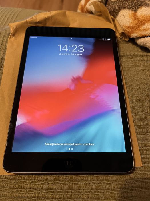 Ipad mini 2 cellular