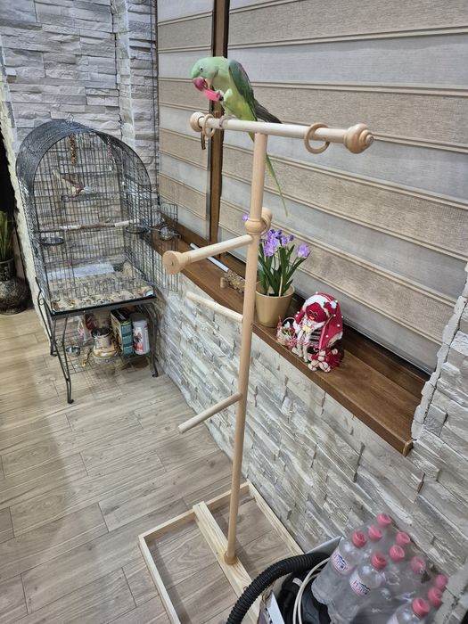 Кацалка за папагали