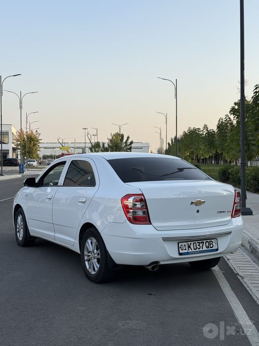 Cobalt Ltz 2021
