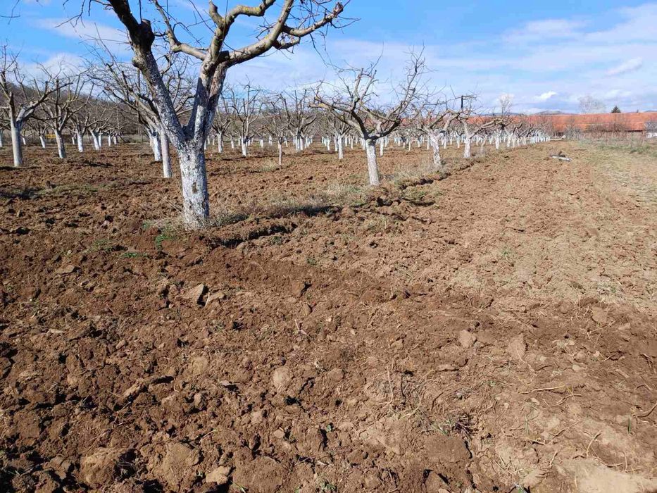 Продава се Земеделски имот в София, Свобода -  кв.м за 1666 €/дка - Снимка #3