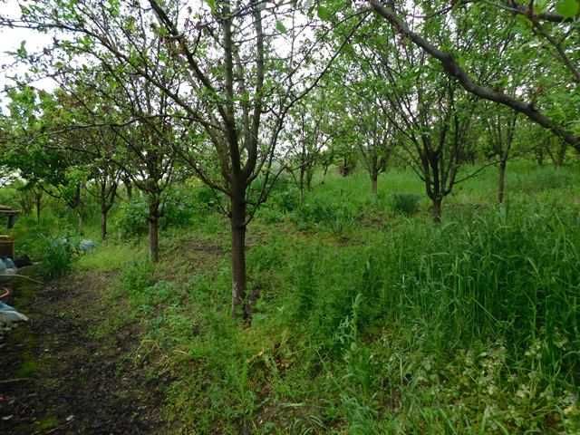 ПРОДАВА: Вила, Вилна зона, Търговище