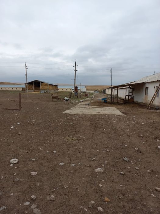 Ферма, для сельхоза и животноводничесва