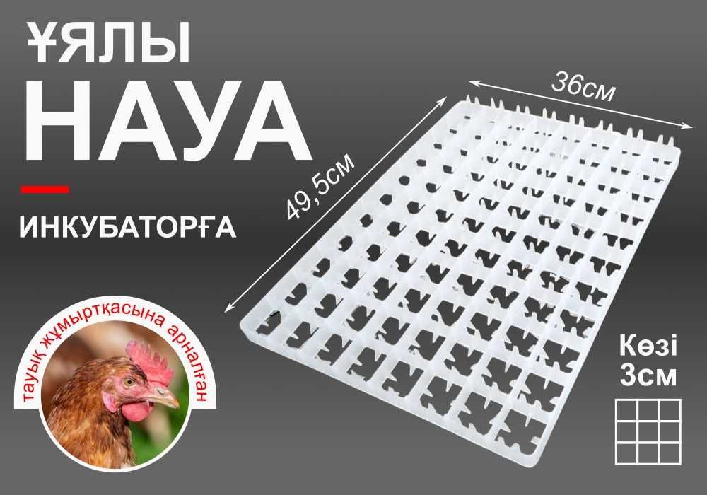 Тауық жұмыртқасына арналған науасы / Лотки сотовые для куриных яиц