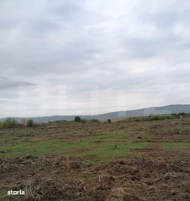 Teren 4500 mp intravilan, TOMESTI-GORUNI