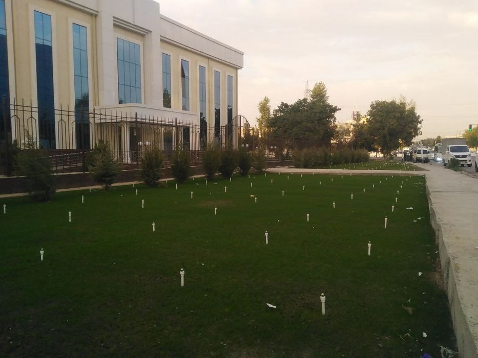 Полив газон под ключ