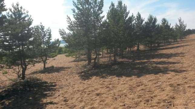 Продам участок под кэмпинг, зону отдыха