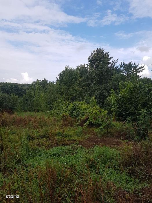 Teren de vânzare în Bucium, 1000mp, acces asfaltat
