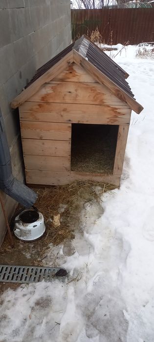 Продам будку для собаки, бу