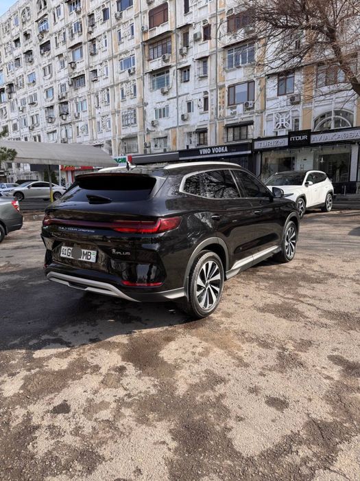 Byd champion 2023. Tozza