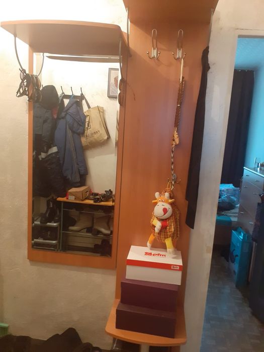 Прихожая и плательный шкаф