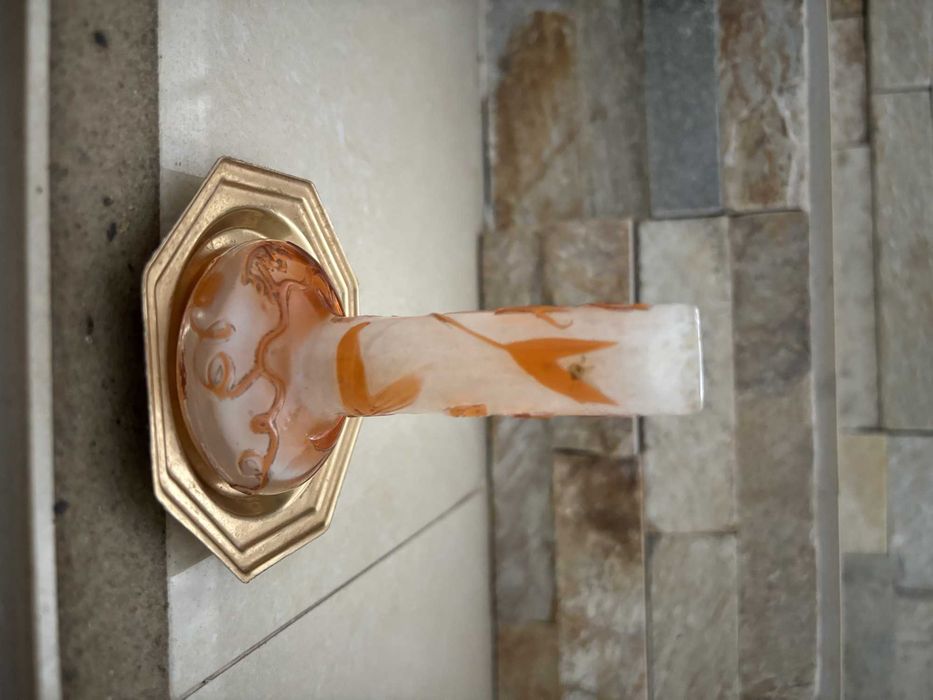 Vaza uniflora Gallle