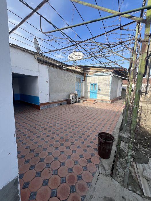 Hovli shahar urtasida 7 sutik