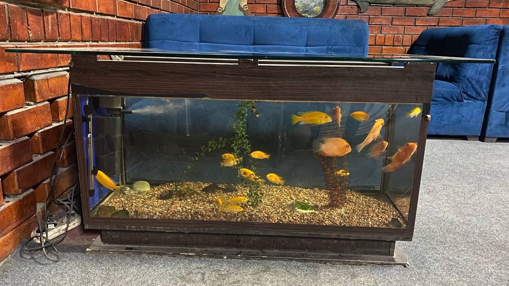 Продаётся аквариум стол для кафе