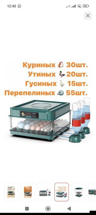 Инкубатор Бизон новый