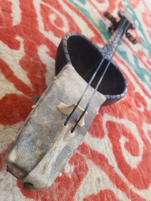 Қобыз, Кобыз, Қыл қобыз