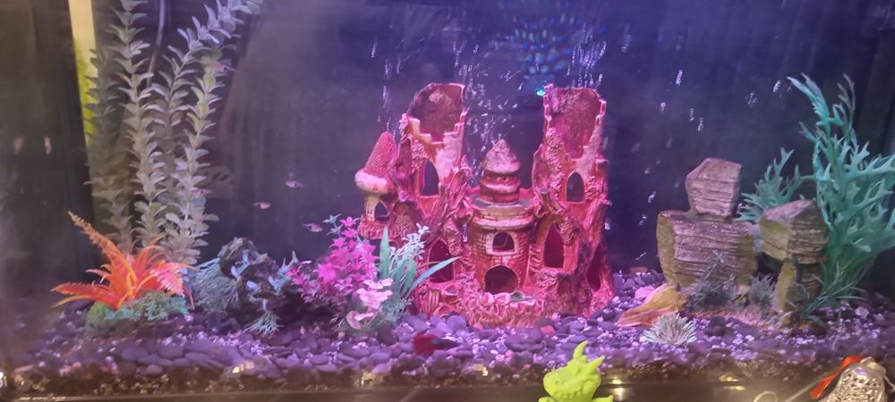 Аквариум 120 литров