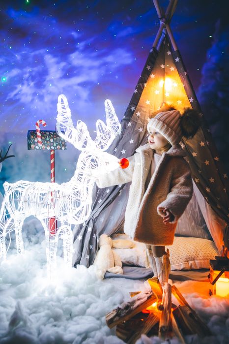 Професионални Коледни  декори за студио