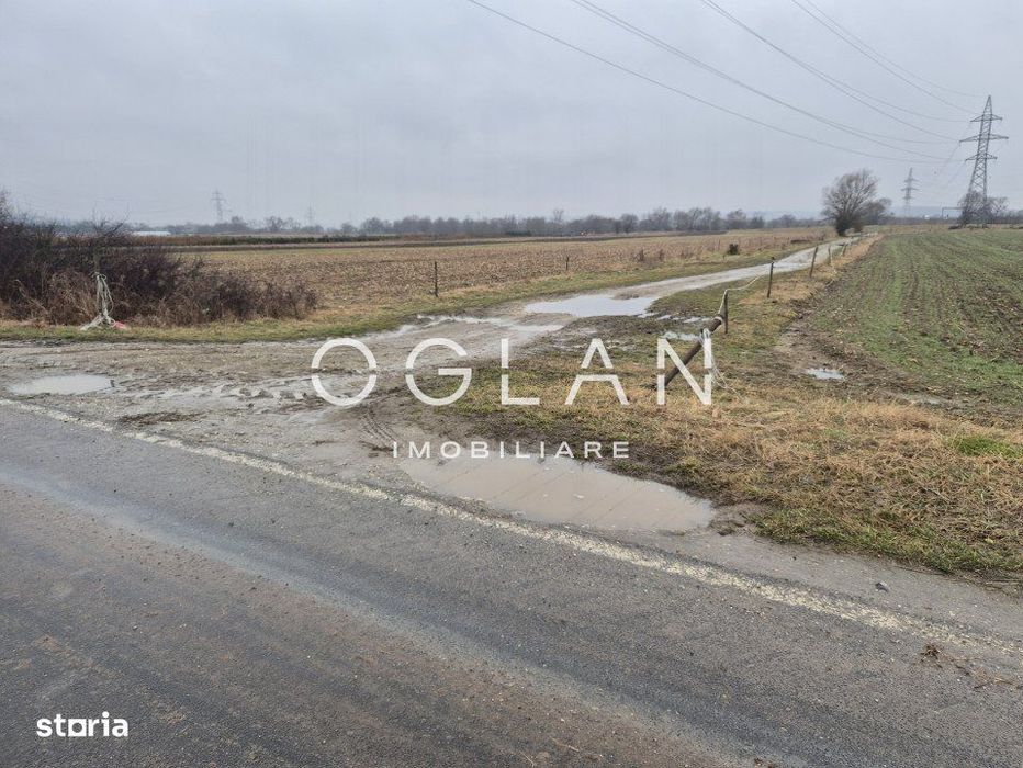 Teren extravilan 11.300 mp, front 39 m, Selimbar