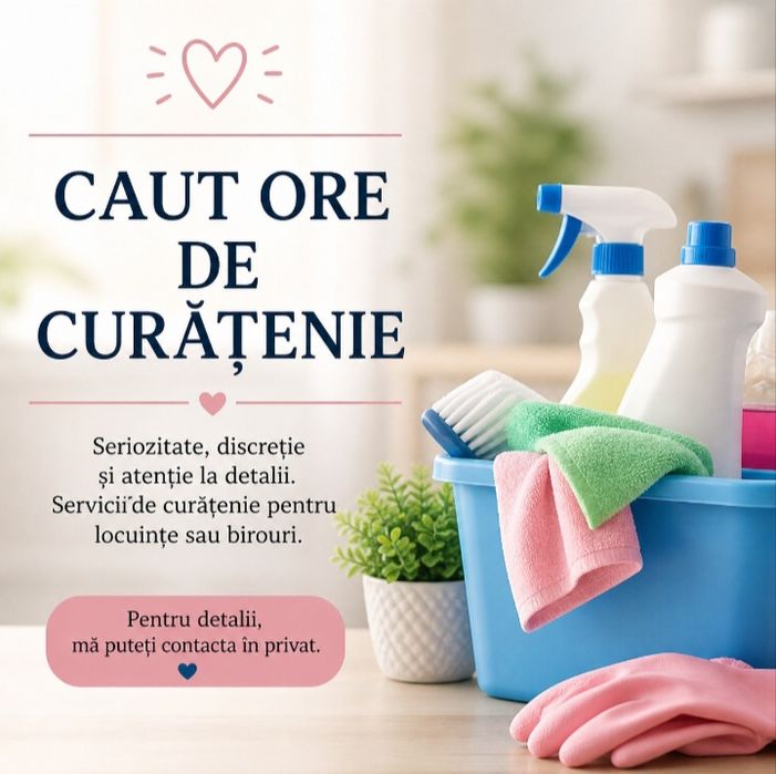 Curățenie la domiciliu