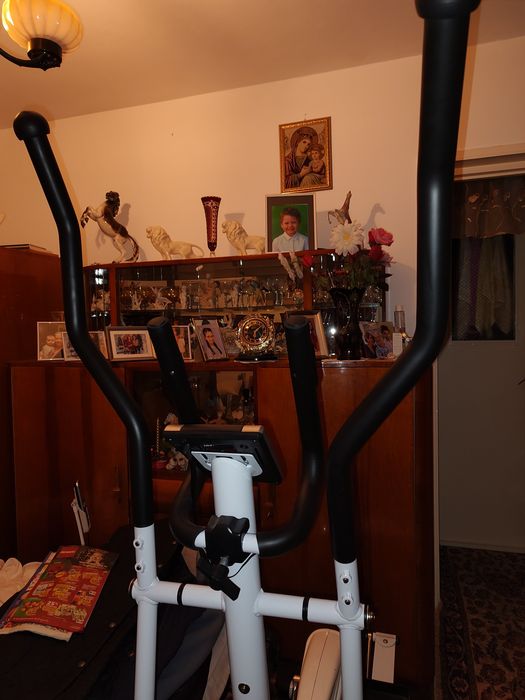 Aparat gimnastica eliptica Techfit 490