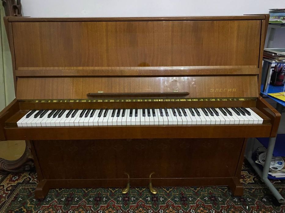 piyanina элегия