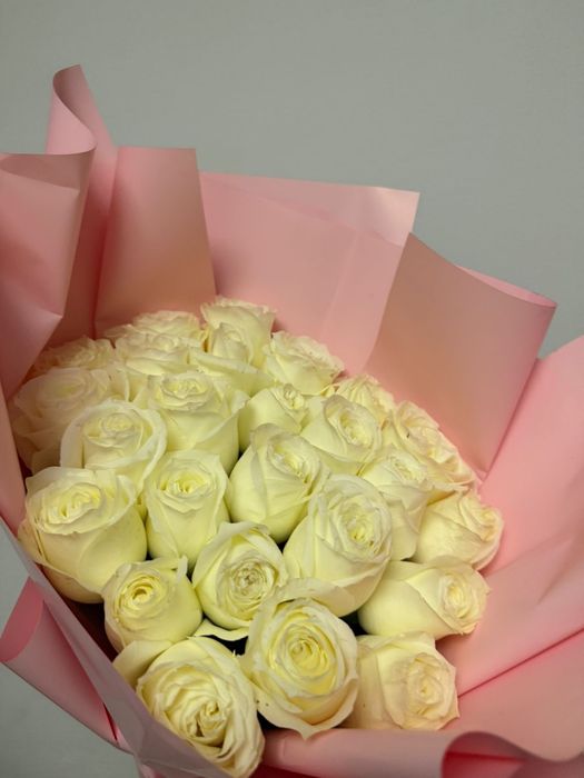 голландский роза затыладыы жана келді