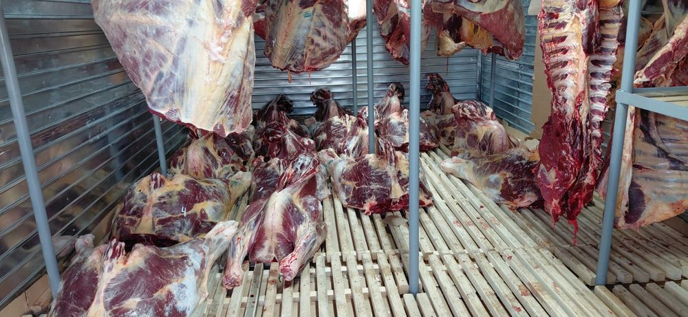 Мясо говядины конины