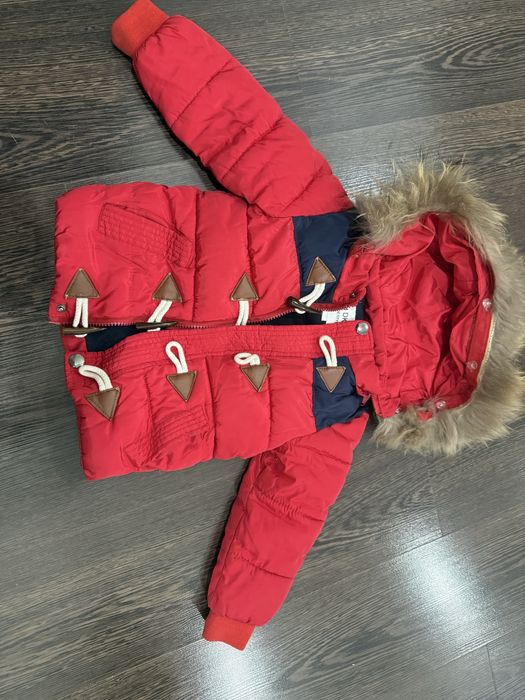 Отдам бесплатно