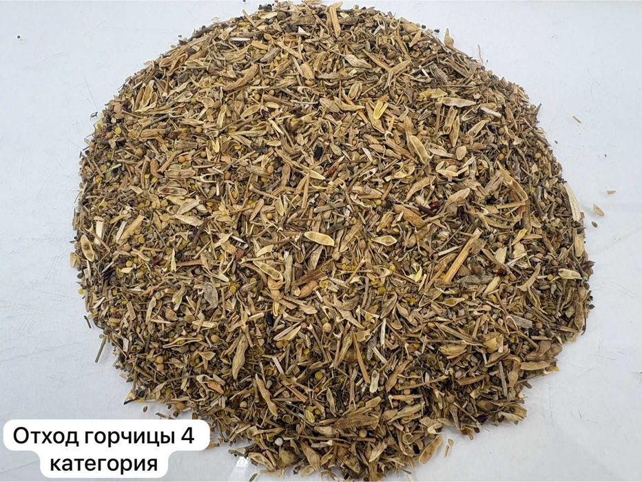 Продажа отходов горчицы и чечевицы