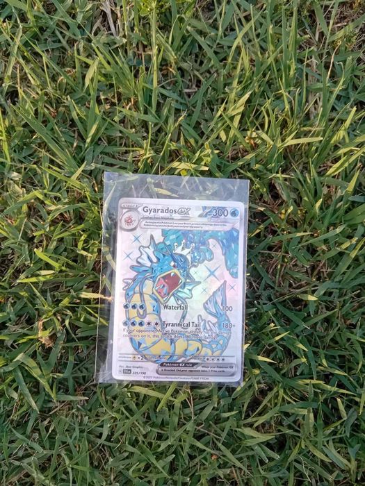 15 Pokémon cards